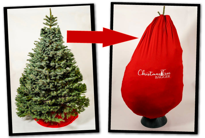 Christmas Tree Bagger helps bag up your live Christmas Tree so that you can get it in and out of your home and vehicle with no mess!